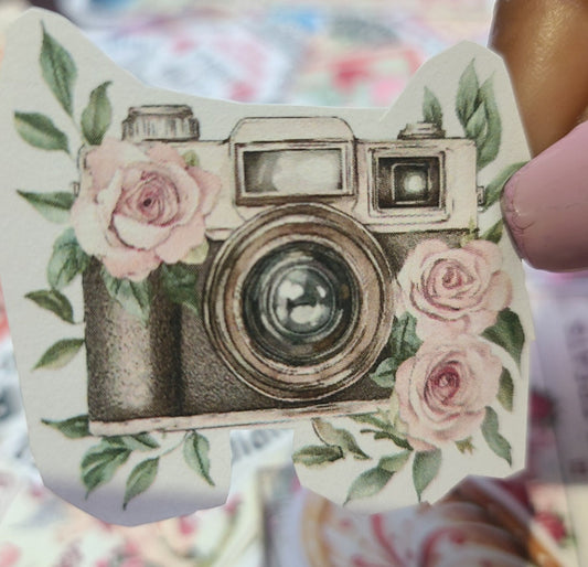 Valentine Watercolor Camera and Pink Roses