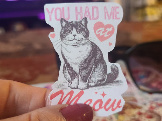 Valentine You Had Me at Meow