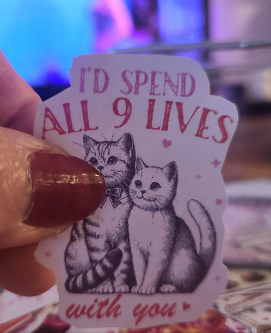 Valentine I'd Spend All 9 Lives With You