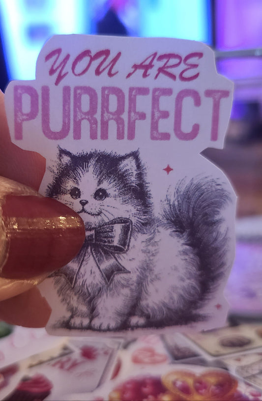 Valentine You are Purrfect!