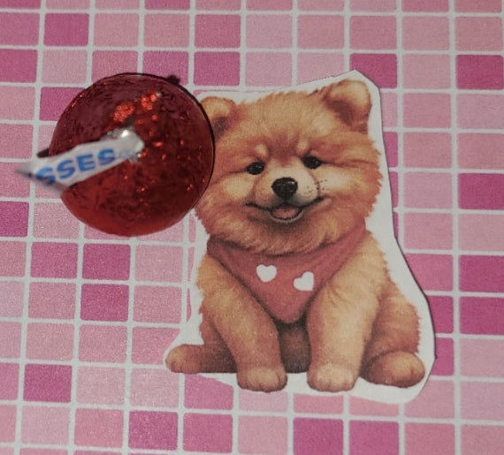 Valentine Chow Chow Love ❤️