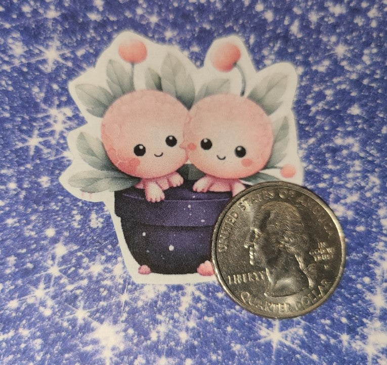 Valentine Pair of Cutie Succulents