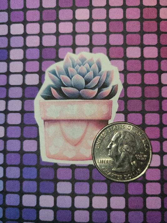 Valentine Succulents 21