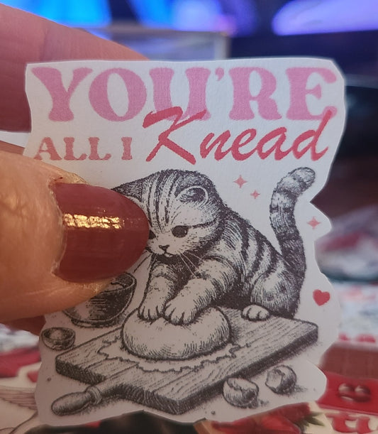 Valentine Kitty You're All I Knead