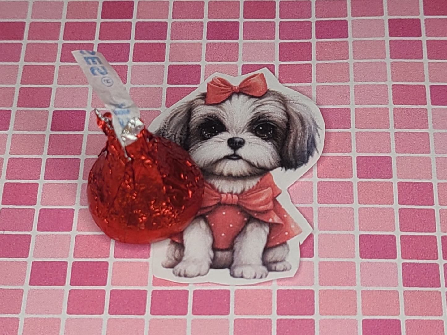 Valentine Shih Tzu