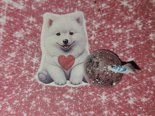 Valentine Samoyed