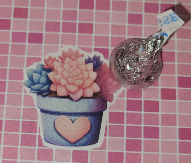 Valentine Succulent 28