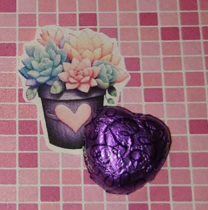 Valentine Succulents 19