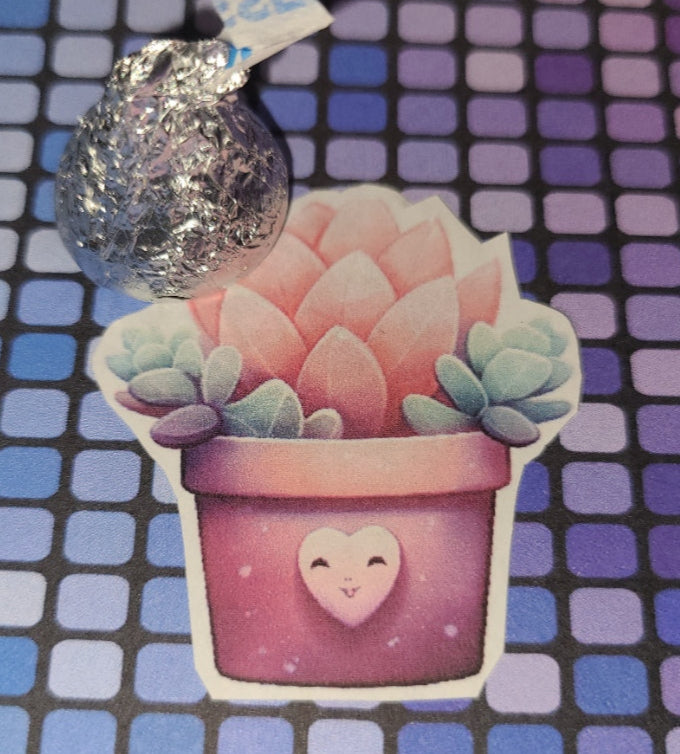 Valentine Succulent 5