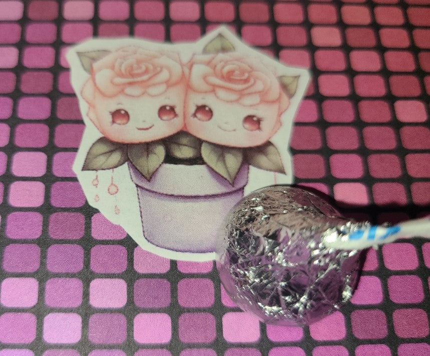 Valentine Pink Cutie Succulents