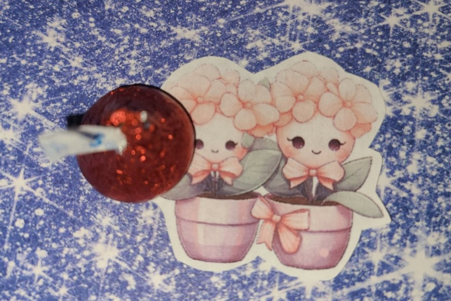 Valentine Sweet Succulent Love