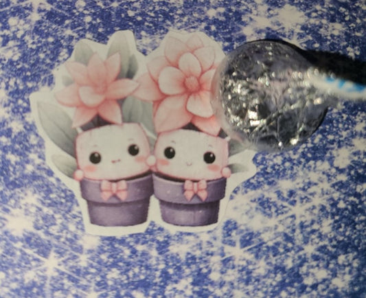 Valentine Cute Succulents 11