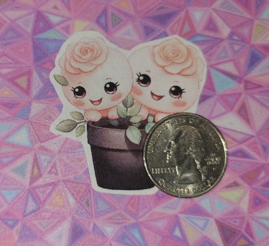 Valentine Cute Succulents 8