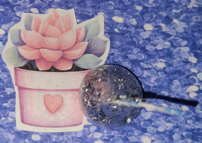 Valentine Succulent 14