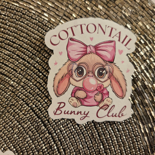 Easter Cottontail Bunny Club 13