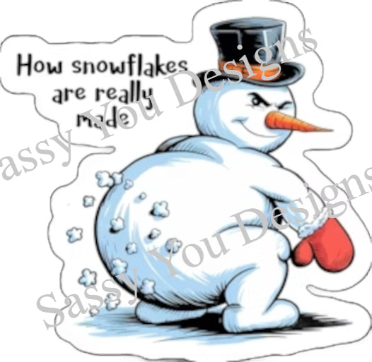 How Snowflakes Are Made